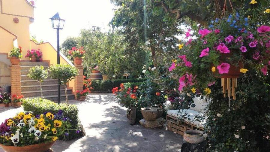 Bed And Breakfast Val Di Lupa Castellina Marittima Buitenkant foto