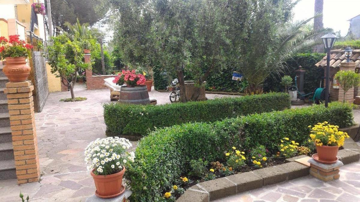 Bed And Breakfast Val Di Lupa Castellina Marittima Buitenkant foto
